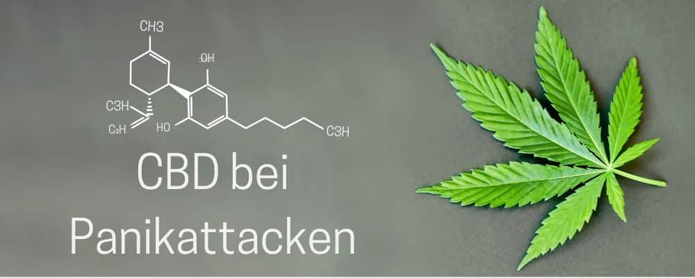 Die Nutzung von CBD Öl bei Panikattacken.