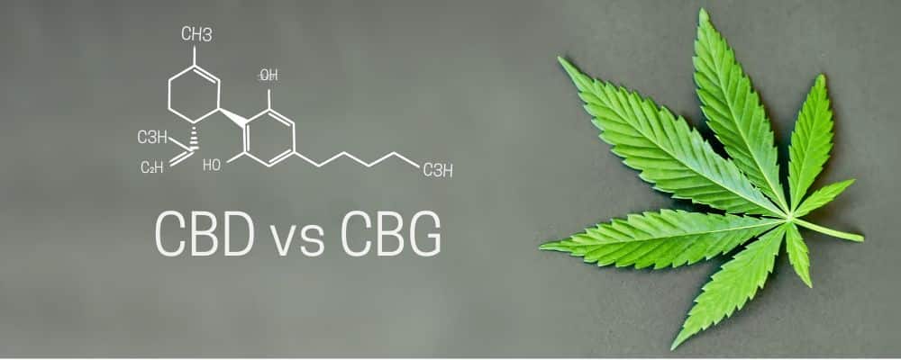 Wir erläutern, ob CBD oder CBG besser ist.