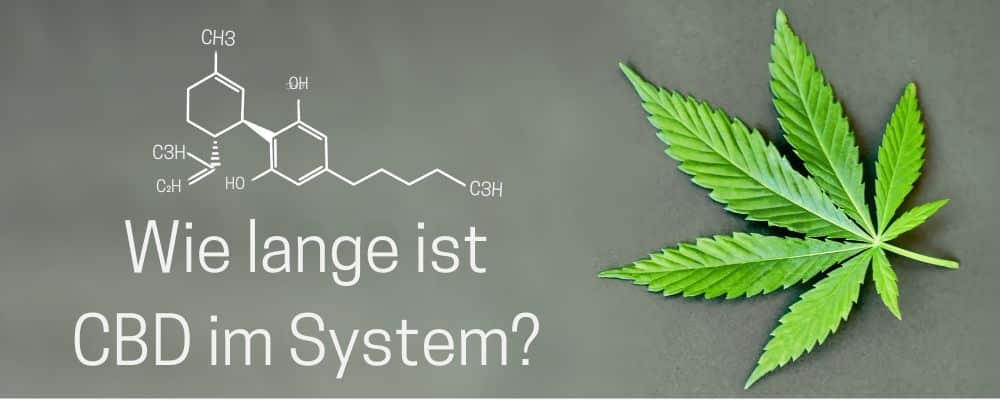 Wie lange ist CBD im System?